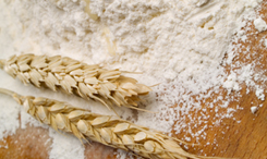 Flour image